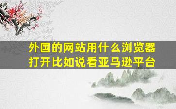 外国的网站用什么浏览器打开比如说看亚马逊平台