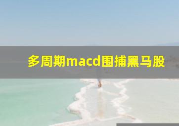 多周期macd围捕黑马股