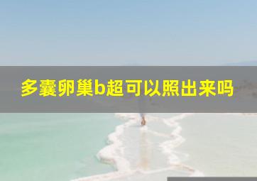 多囊卵巢b超可以照出来吗