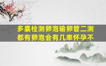 多囊检测卵泡输卵管二测都有卵泡会有几率怀孕不