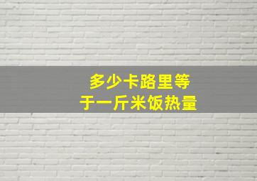 多少卡路里等于一斤米饭热量