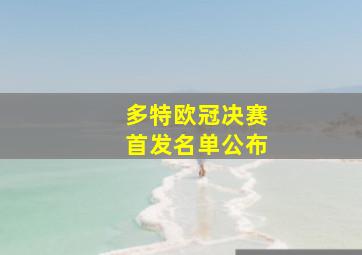 多特欧冠决赛首发名单公布