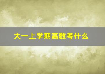 大一上学期高数考什么