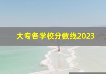 大专各学校分数线2023