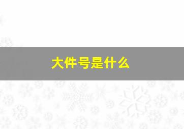 大件号是什么