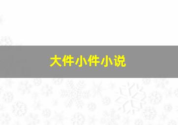 大件小件小说