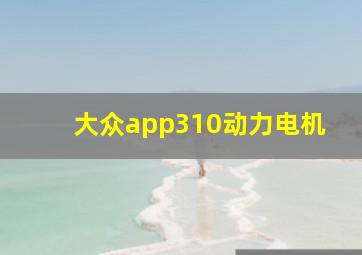 大众app310动力电机