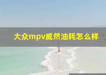 大众mpv威然油耗怎么样