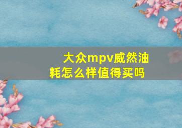 大众mpv威然油耗怎么样值得买吗