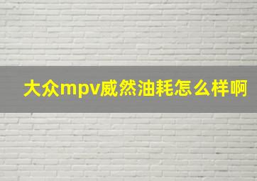 大众mpv威然油耗怎么样啊