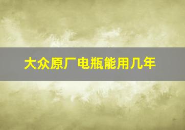 大众原厂电瓶能用几年