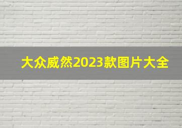 大众威然2023款图片大全