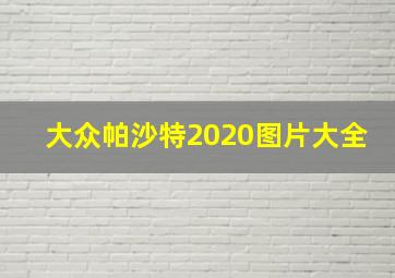 大众帕沙特2020图片大全