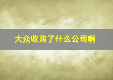 大众收购了什么公司啊