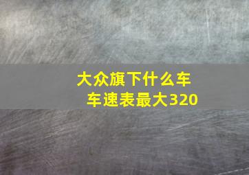 大众旗下什么车车速表最大320