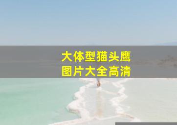 大体型猫头鹰图片大全高清