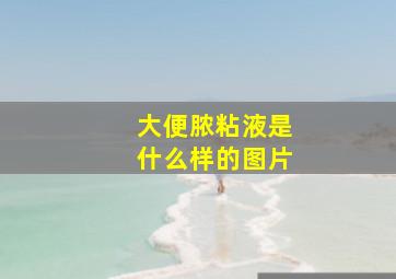 大便脓粘液是什么样的图片