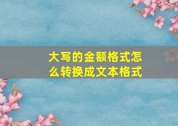 大写的金额格式怎么转换成文本格式