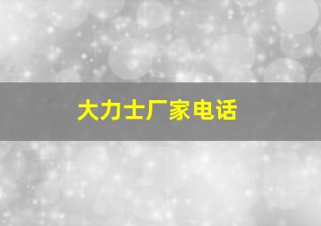 大力士厂家电话