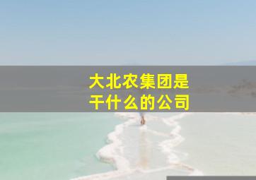 大北农集团是干什么的公司