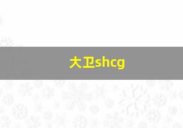 大卫shcg