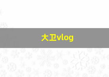 大卫vlog