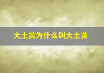 大土黄为什么叫大土黄