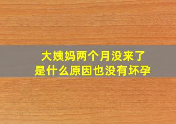 大姨妈两个月没来了是什么原因也没有坏孕