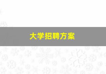 大学招聘方案