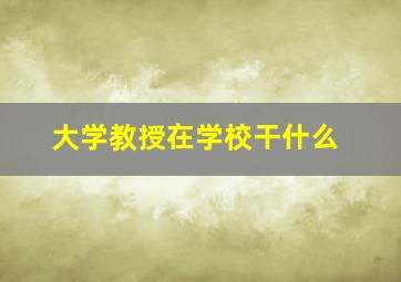 大学教授在学校干什么