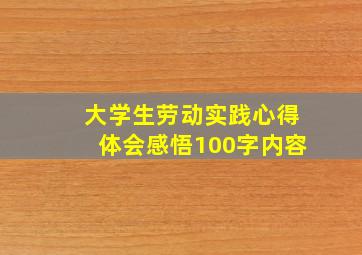 大学生劳动实践心得体会感悟100字内容