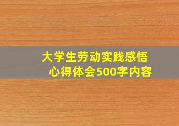 大学生劳动实践感悟心得体会500字内容