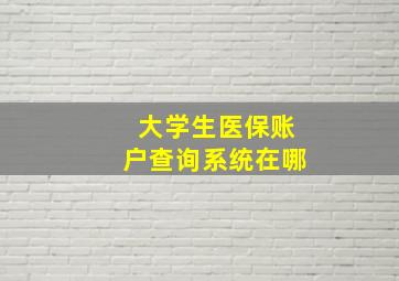 大学生医保账户查询系统在哪