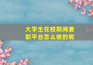 大学生在校期间兼职平台怎么做的呢