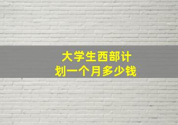 大学生西部计划一个月多少钱