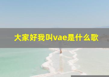 大家好我叫vae是什么歌