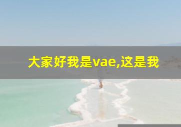 大家好我是vae,这是我