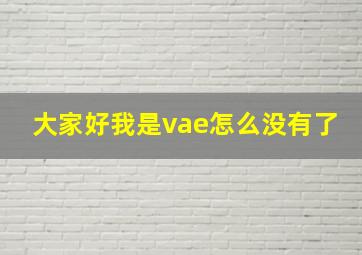 大家好我是vae怎么没有了