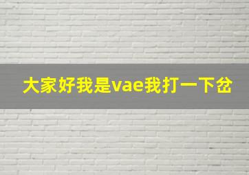 大家好我是vae我打一下岔