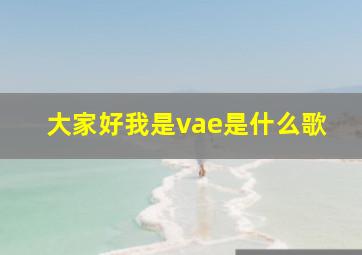 大家好我是vae是什么歌