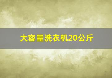 大容量洗衣机20公斤