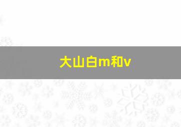 大山白m和v