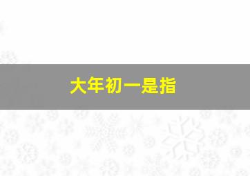 大年初一是指