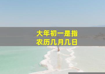 大年初一是指农历几月几日