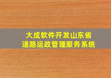 大成软件开发山东省道路运政管理服务系统