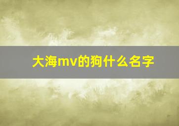 大海mv的狗什么名字