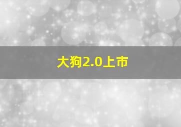 大狗2.0上市