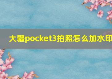 大疆pocket3拍照怎么加水印