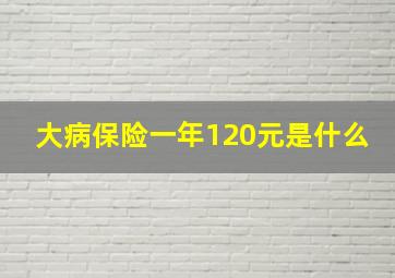 大病保险一年120元是什么