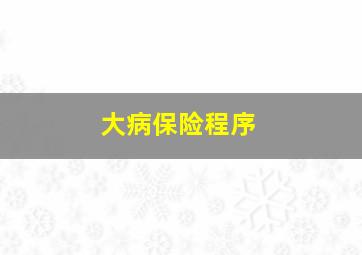 大病保险程序